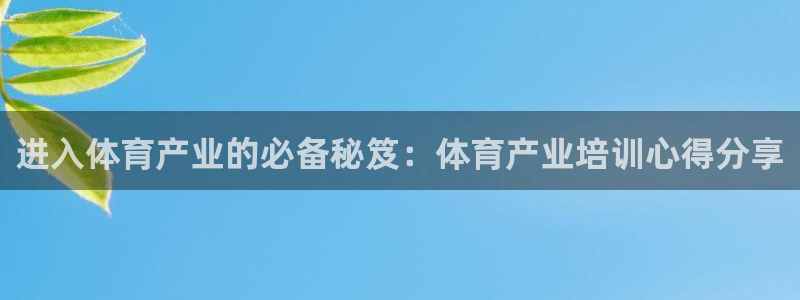 富联娱乐是什么时候开的股票：进入体育产业的必备秘笈：