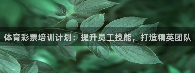 富联芯科技：体育彩票培训计划：提升员工技能，打造精英