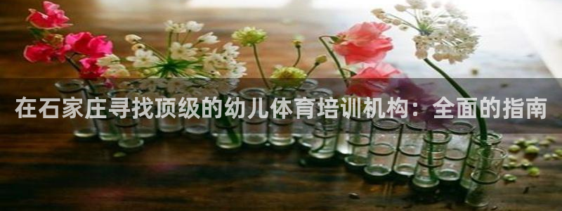 富联娱乐官方网站下载安卓：在石家庄寻找顶级的幼儿体育