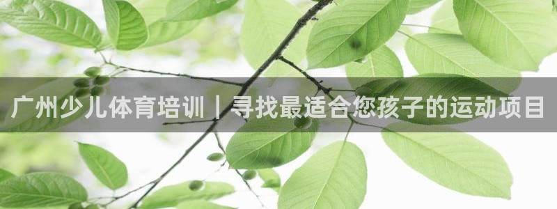 富联官方网站下载安装手机版：广州少儿体育培训｜寻找最